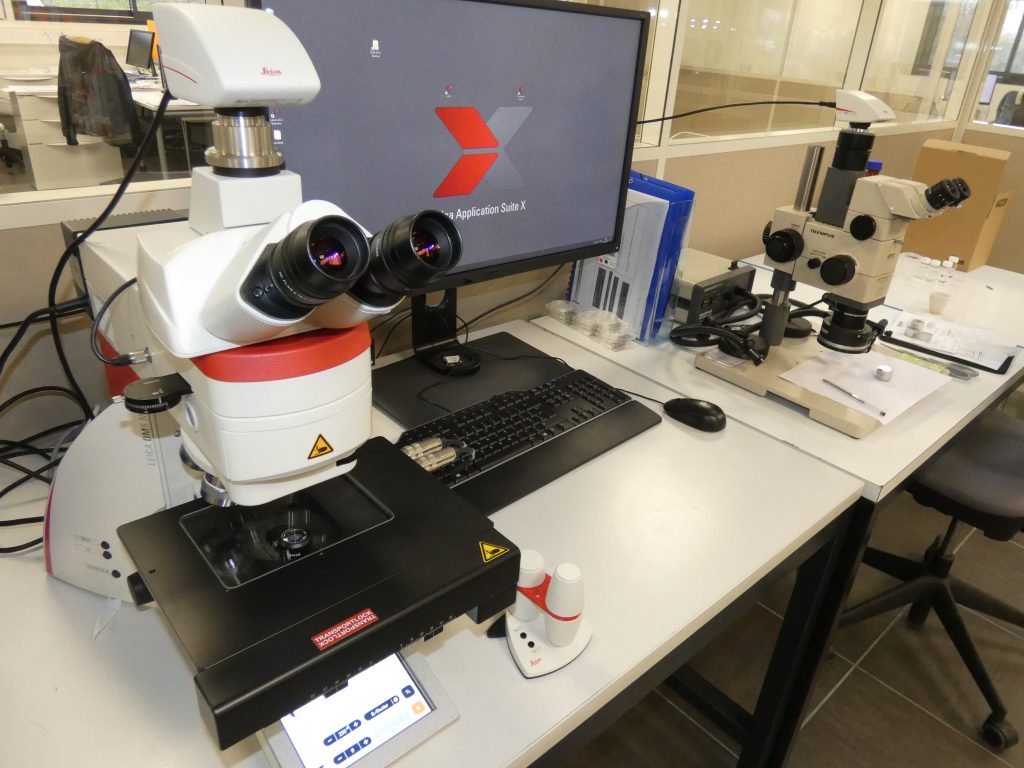 Laboratory of analysis and observation by Optical Microscope (MO)