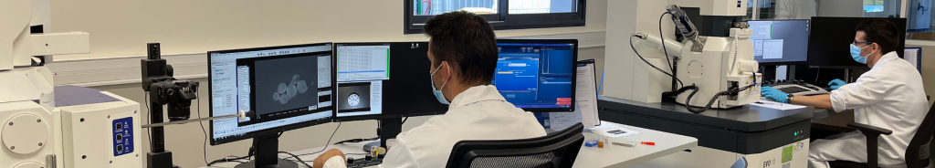 Analyse par MEB FEG EDX