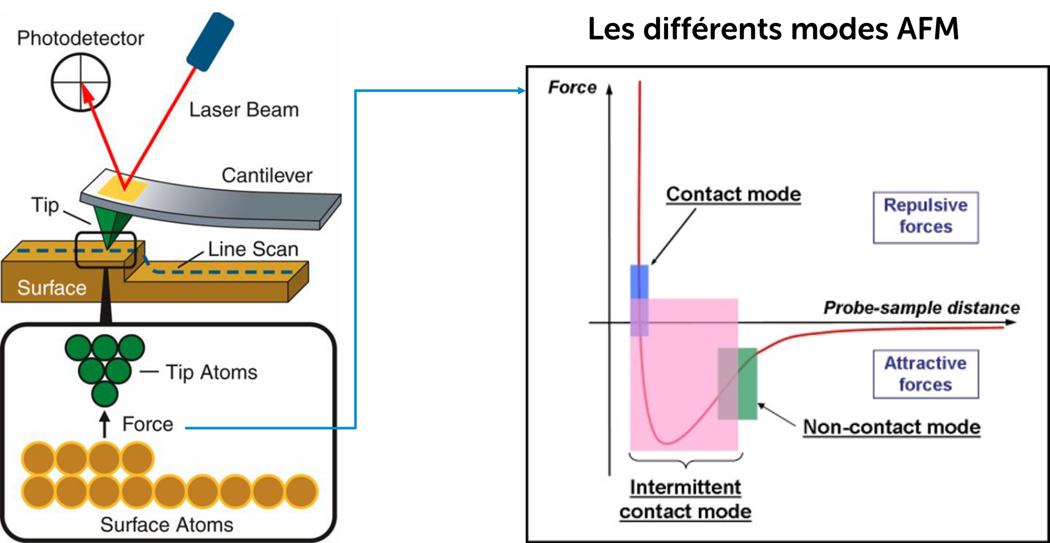 Analyse par AFM : principes, applications et expertise FILAB