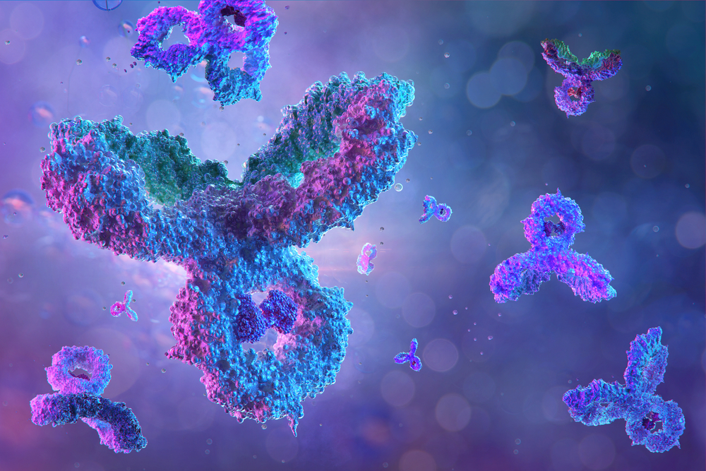 analyse n-glycans